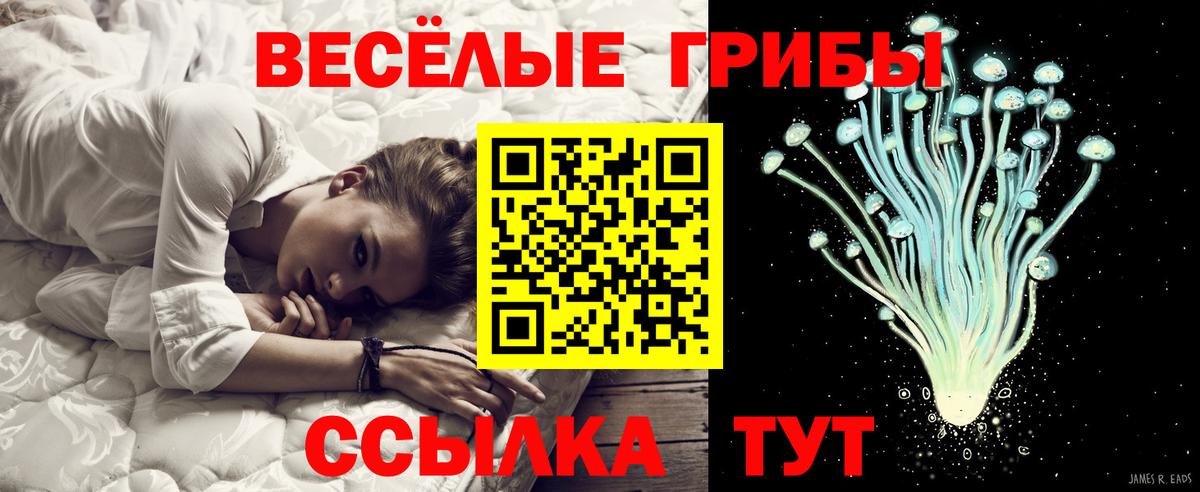 Галлюциногенные грибы MAGIC MUSHROOMS  Вход с VPN  Коломна  Галлюциногенные грибы GOLDEN TEACHER 